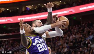 观赏性和市 观赏性和市